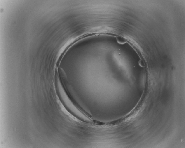 X0000073730941200608101926