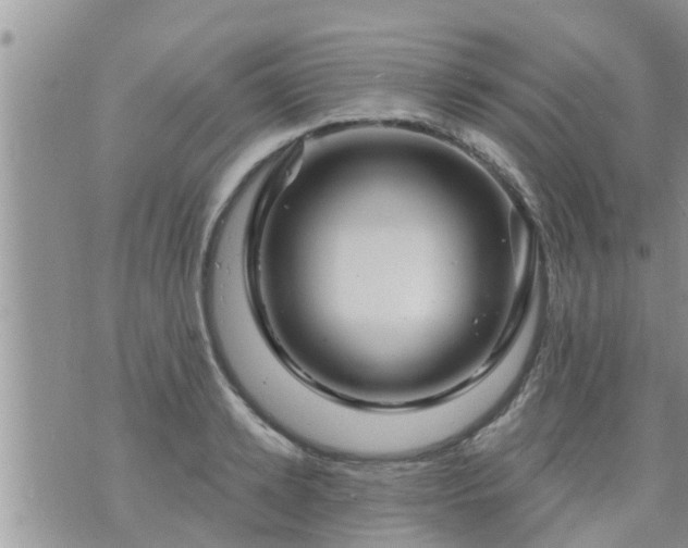 X0000073730942200608101926