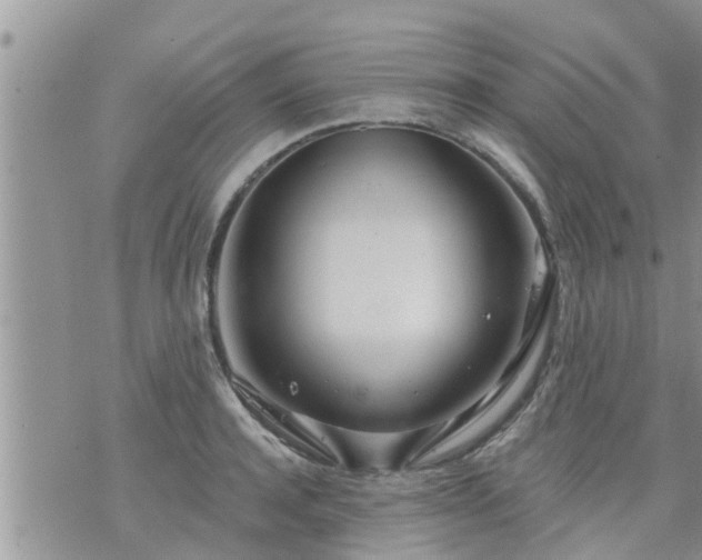 X0000073730944200608101926