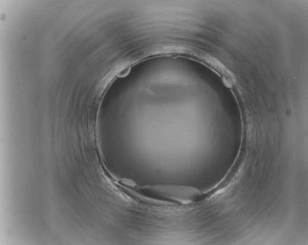 X0000073730945200608101926