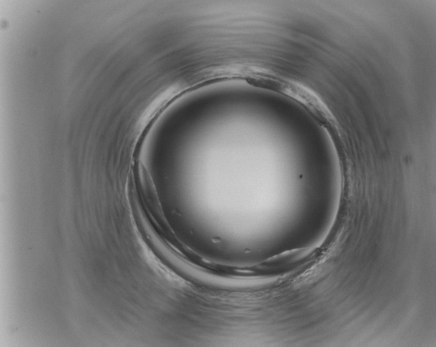 X0000073730946200608101926