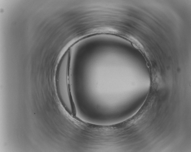 X0000073730947200608101926