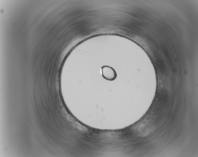 X0000073730950200608101926