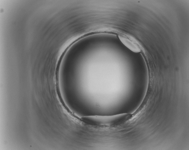 X0000073730951200608101926