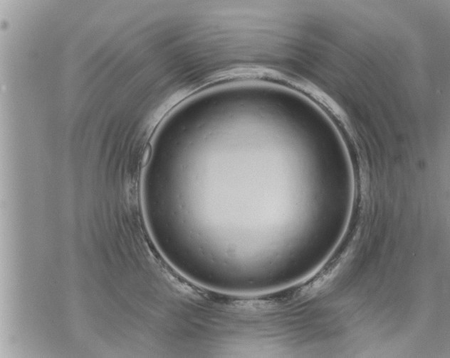 X0000073730953200608101926