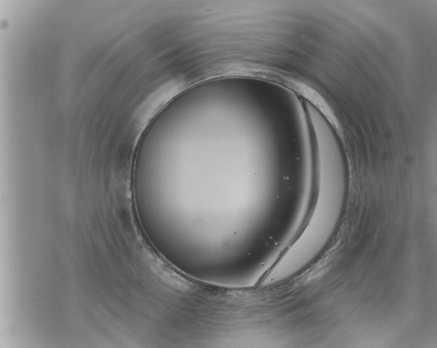 X0000073730954200608101926