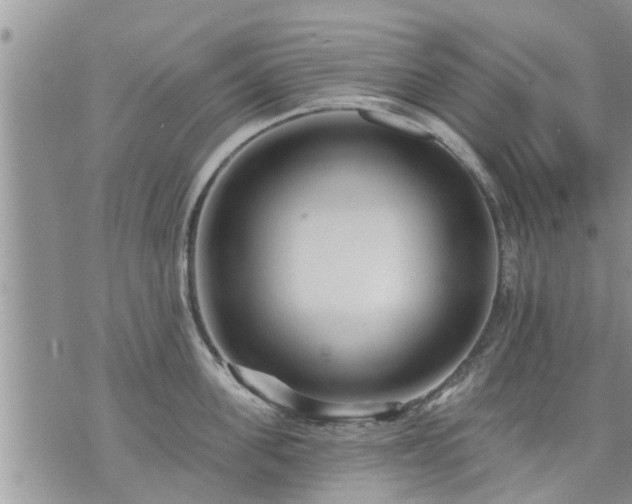 X0000073730955200608101926