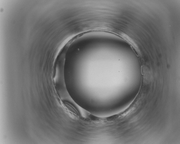 X0000073730956200608101926