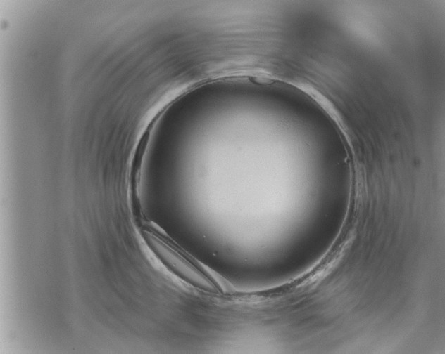 X0000073730957200608101926