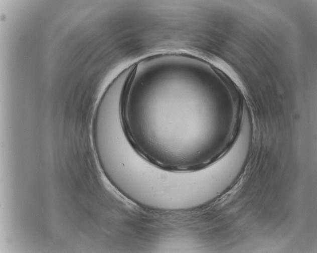 X0000073730958200608101926