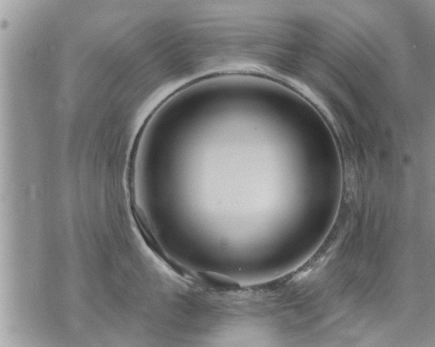 X0000073730959200608101926