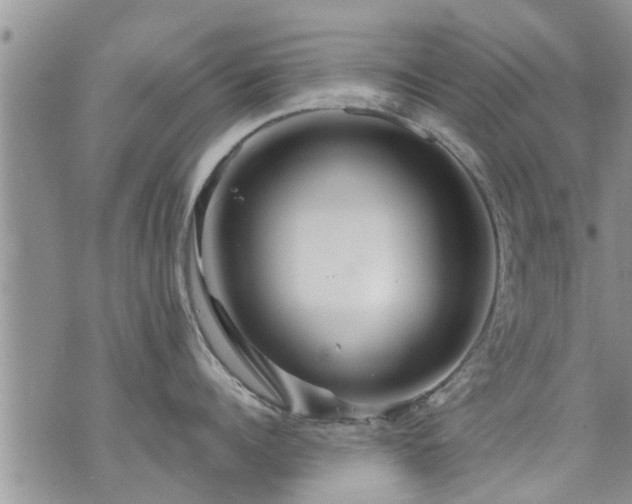 X0000073730960200608101926