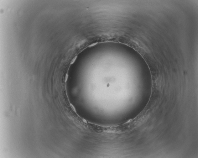 X0000073730961200608101926