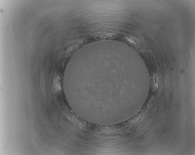 X0000073730962200608101926