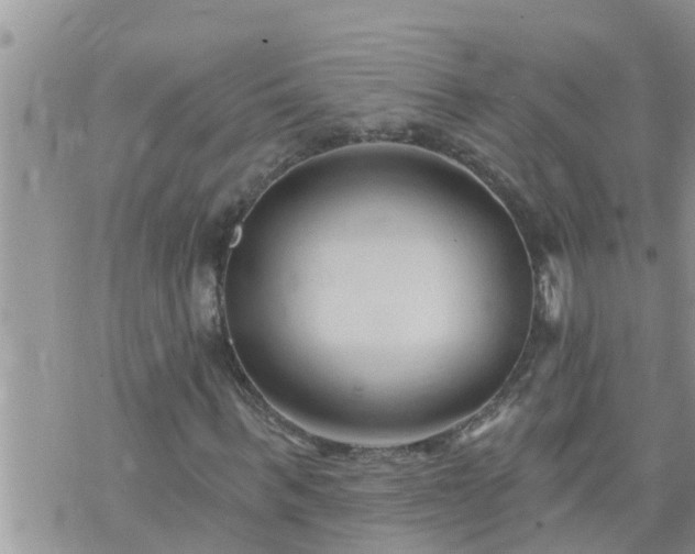 X0000073730963200608101926