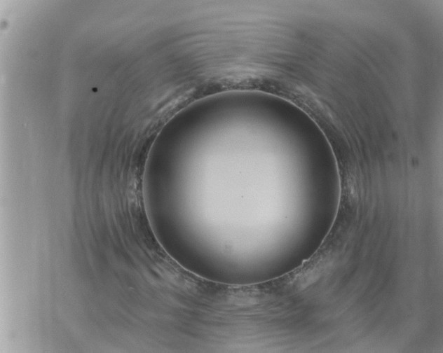 X0000073730964200608101926