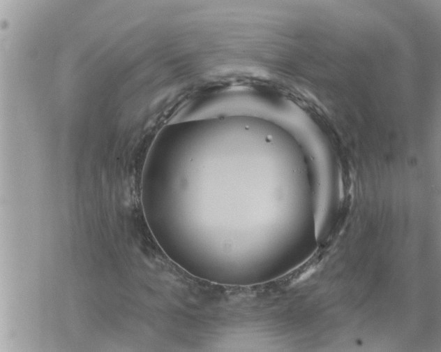 X0000073730965200608101926