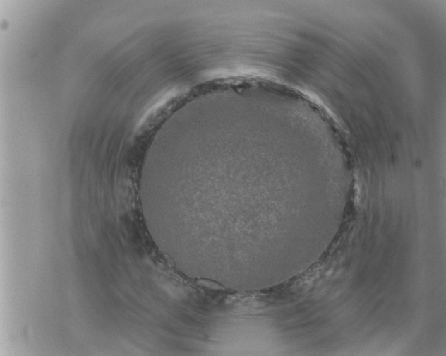 X0000073730967200608101926