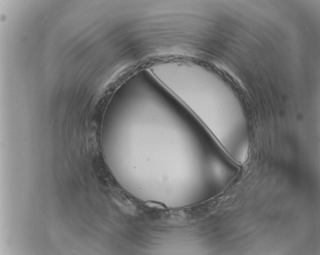 X0000073730968200608101926