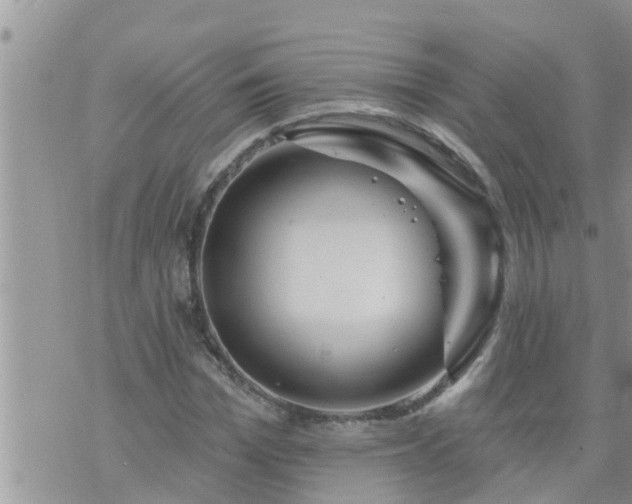 X0000073730969200608101926