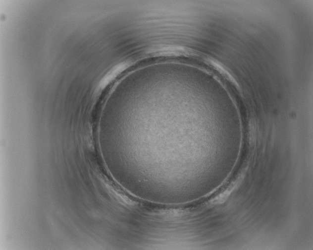 X0000073730970200608101926