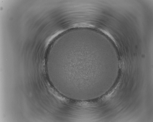 X0000073730971200608101925