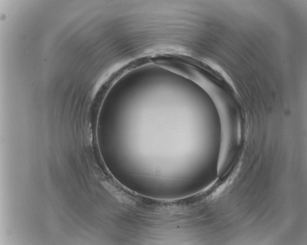 X0000073730973200608101925