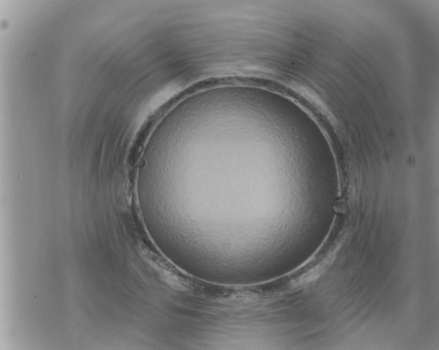 X0000073730974200608101925