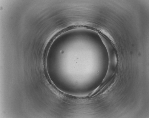 X0000073730976200608101925