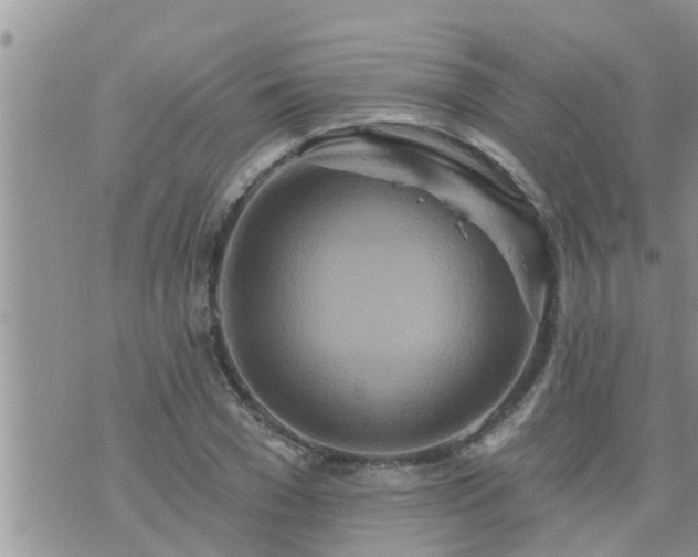 X0000073730977200608101925