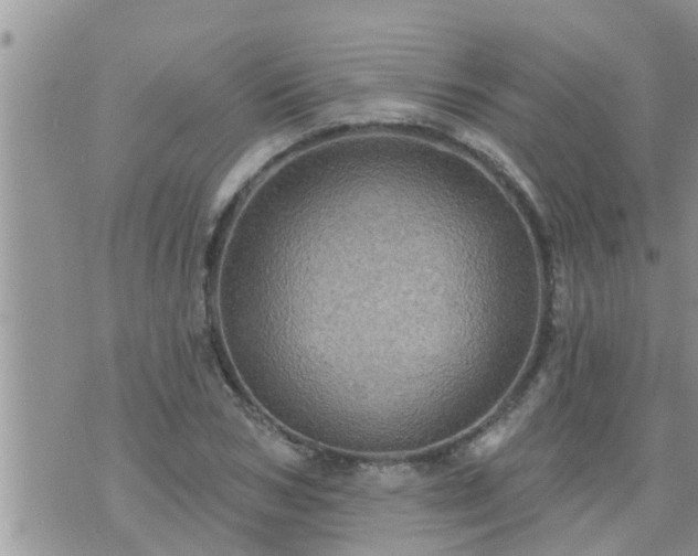 X0000073730978200608101925