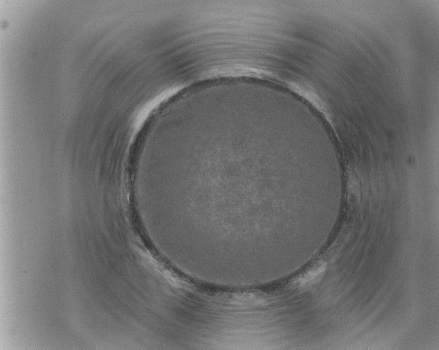 X0000073730979200608101925