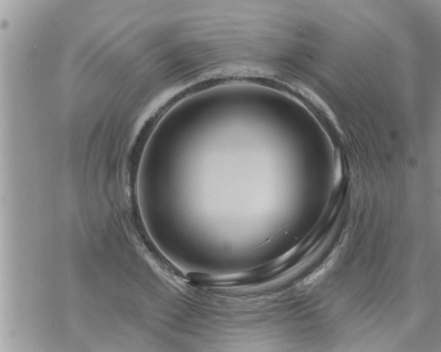 X0000073730981200608101925