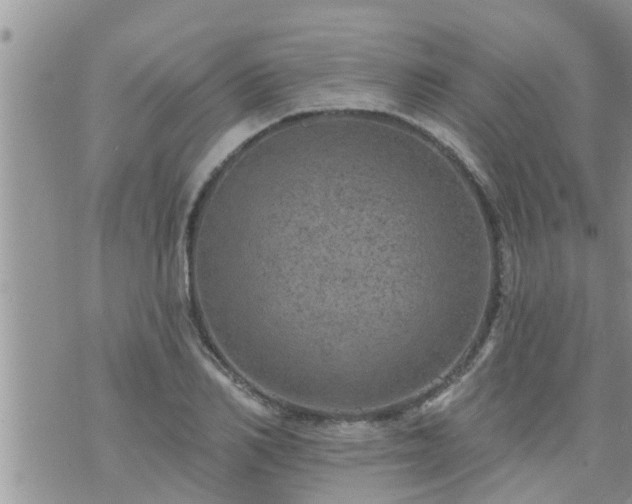 X0000073730982200608101925