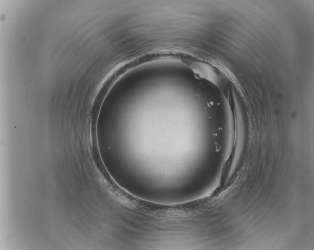 X0000073730984200608101925