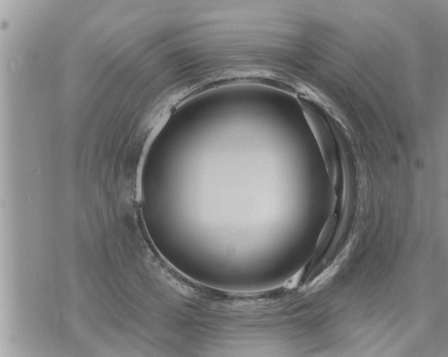 X0000073730985200608101925