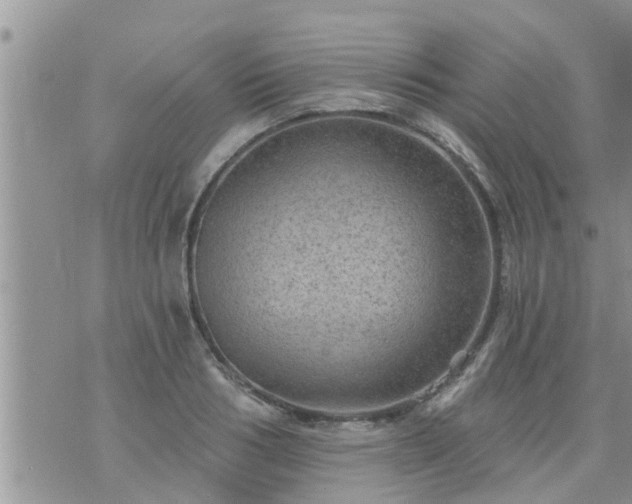 X0000073730986200608101925