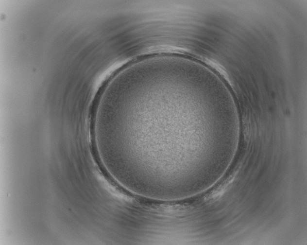 X0000073730987200608101925