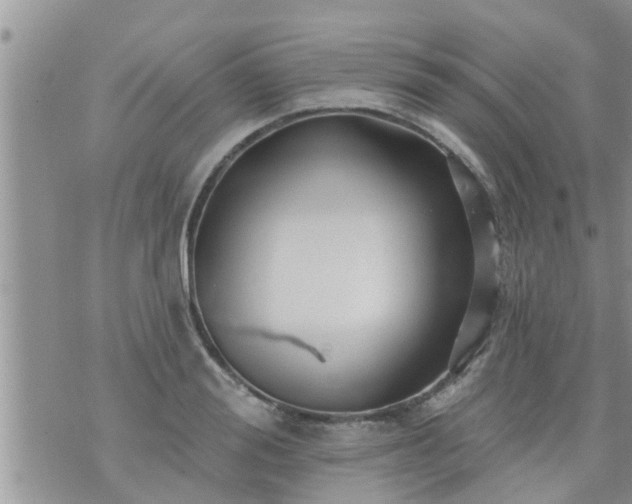 X0000073730988200608101925