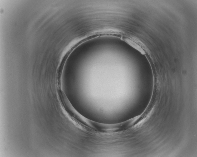 X0000073730989200608101925