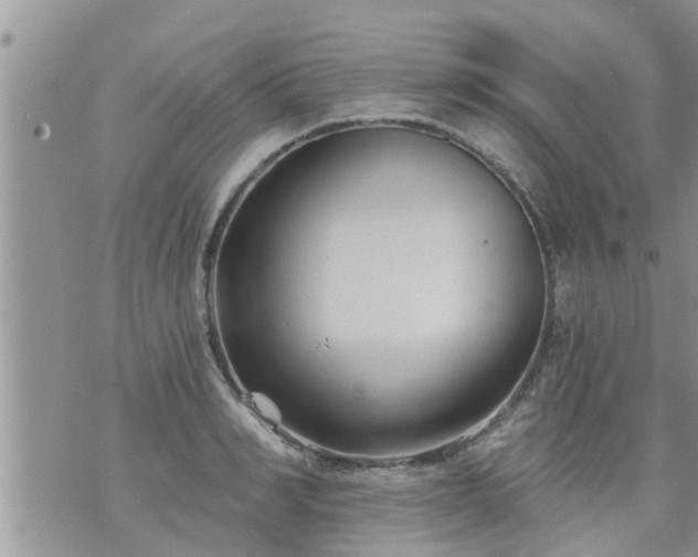 X0000073730990200608101925