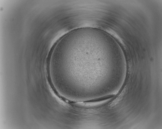 X0000073730991200608101925