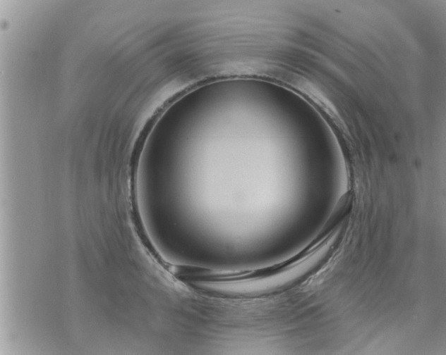 X0000073730992200608101925