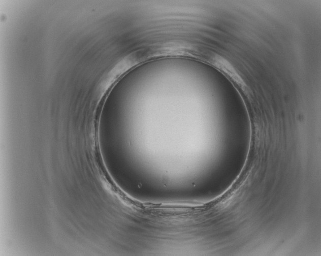 X0000073730994200608101925