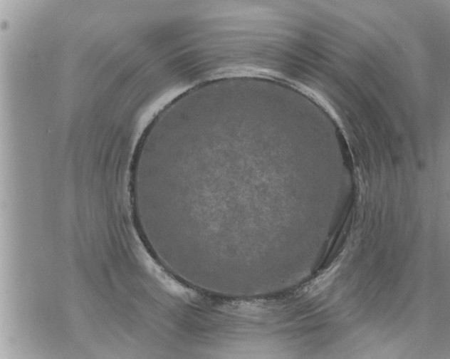 X0000073730995200608101925