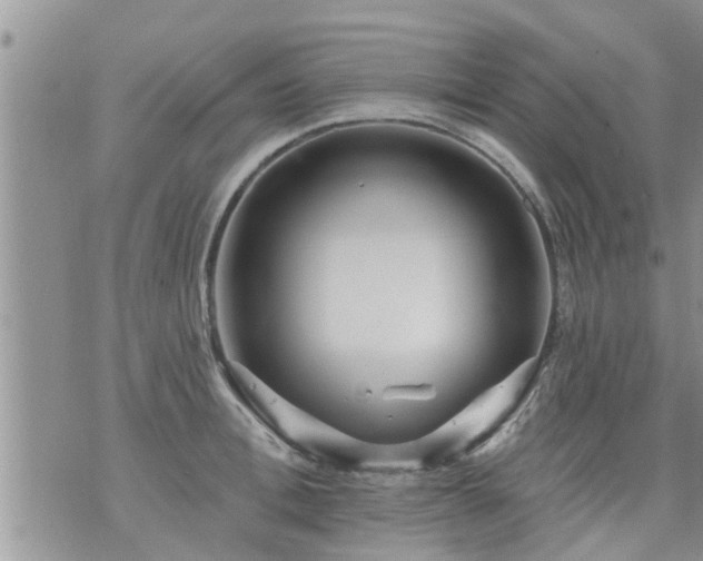 X0000073730996200608101925