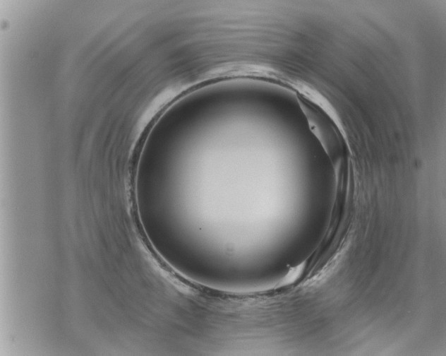 X0000073730997200608101925