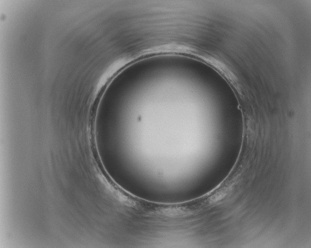 X0000073730998200608101925