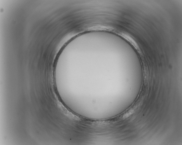 X0000073731000200608101925