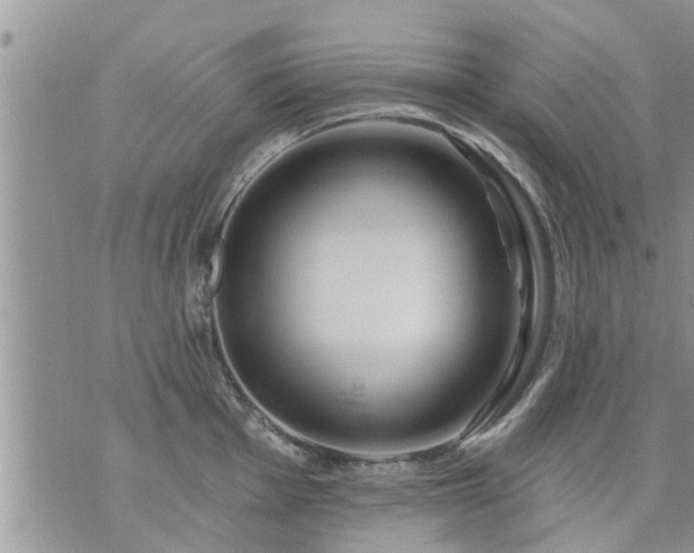 X0000073731001200608101925